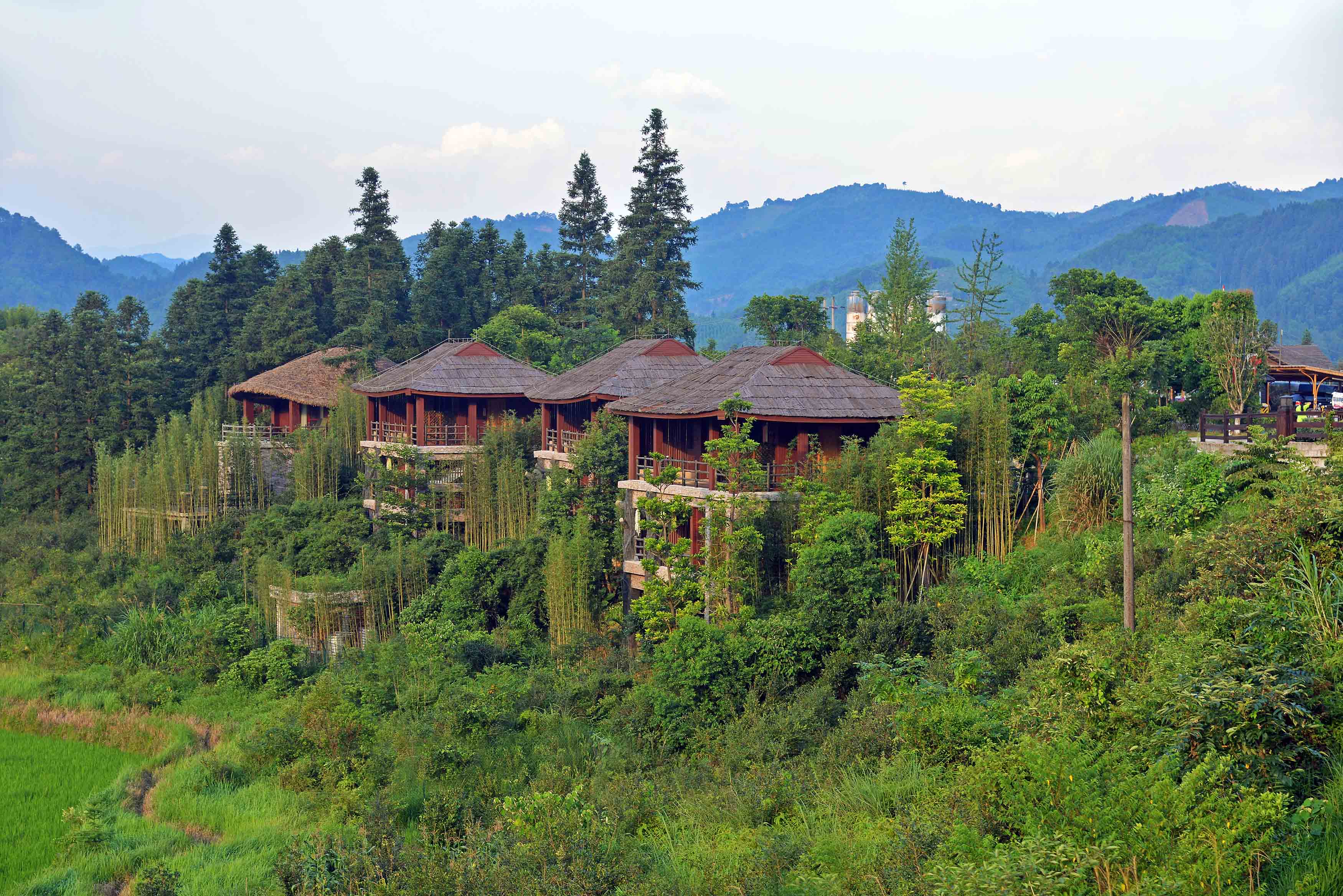 四川康養(yǎng)旅游走在全國前列，是怎么做的？.jpg